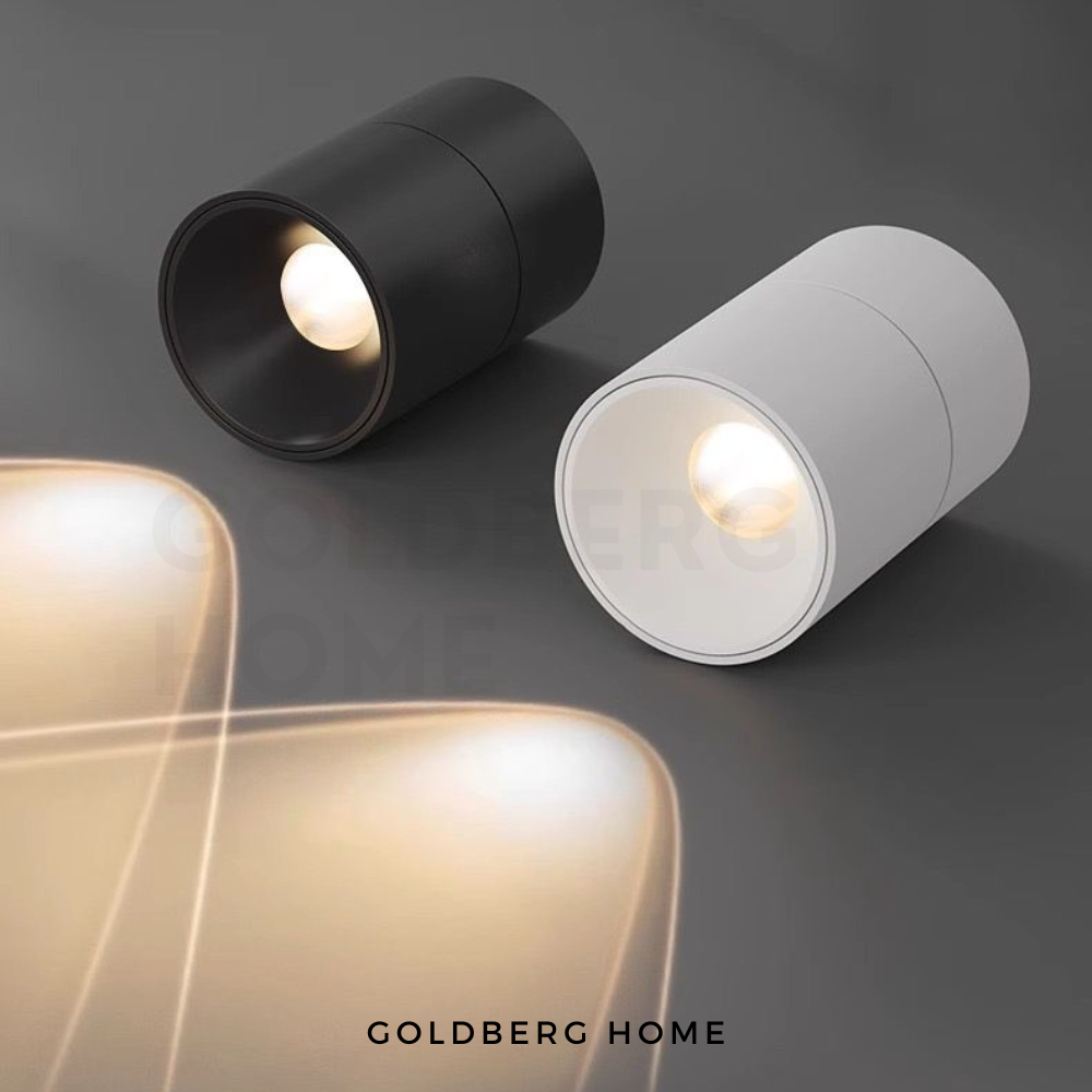 Dutti adjustable spotlights highlighting artwork in a Singapore living room. Premium Goldberg Home accent lighting.