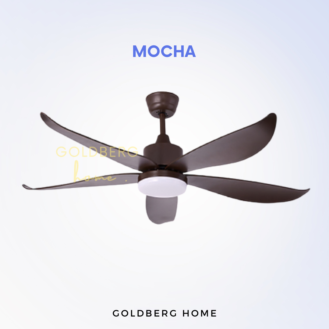 Mocha Bestar Vino 5 Blades DC Ceiling Fan for SG HDB Condo Landed | Ceiling Fan with Light | Goldberg Home SG
