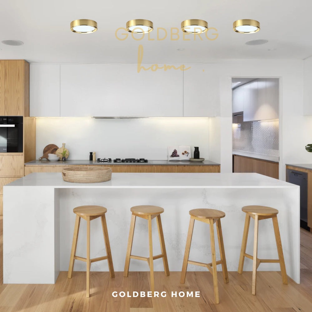 Paris Minimalist Downlight Goldberg Home SG