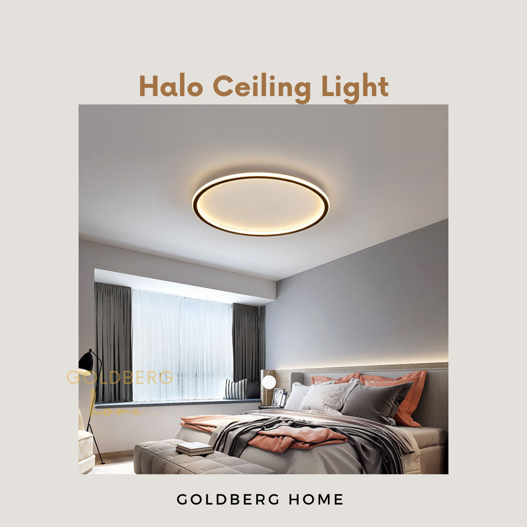 Halo Ceiling Light Goldberg Home SG
