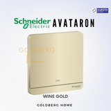 Schneider AvatarON 20A Heater Switch Goldberg Home SG