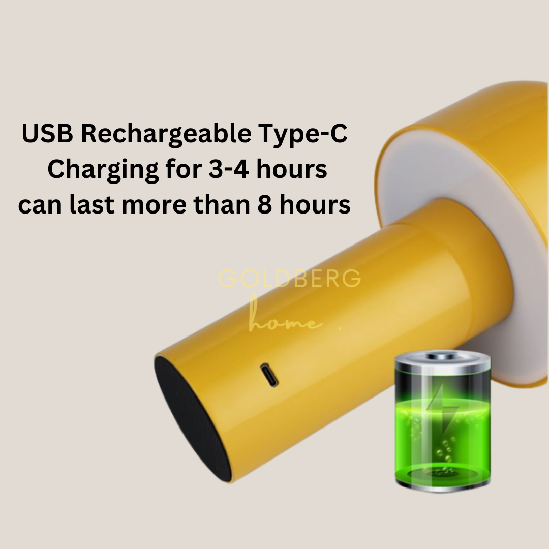 Cardiff USB Table Lamp Goldberg Home SG