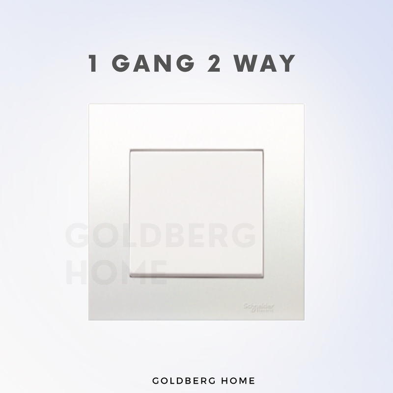 Schneider Electric Vivace Socket