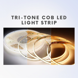 Premium Tri-tone 3Tone COB LED Light Strip 608LEDS 5M 12V 24V