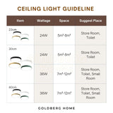 Edinburgh Premium LED Ceiling Light 23cm 30cm 24W 36W