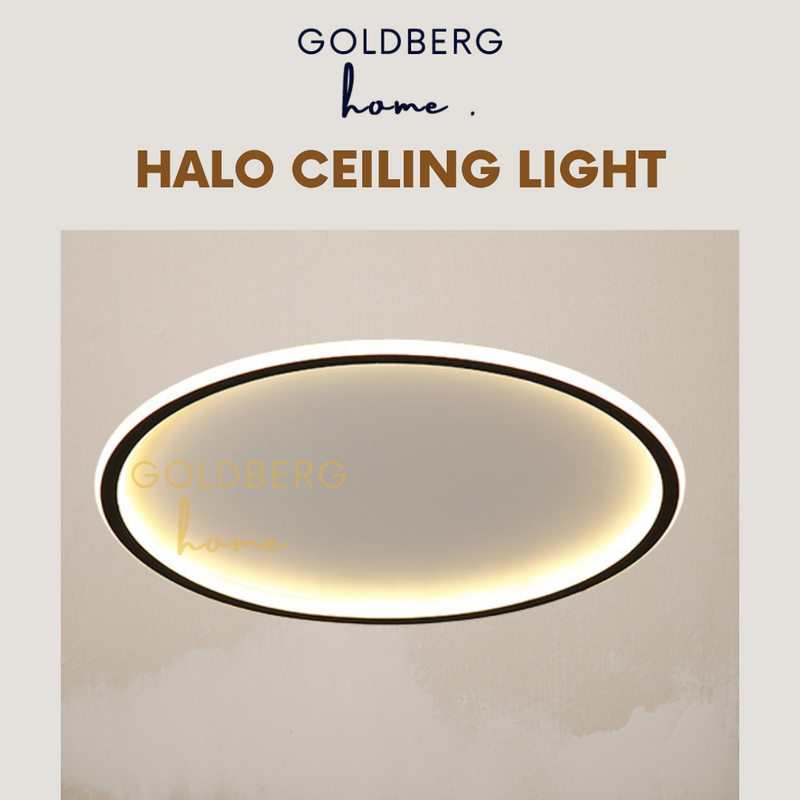 Halo-Ceiling-Light-Goldberg-Home
