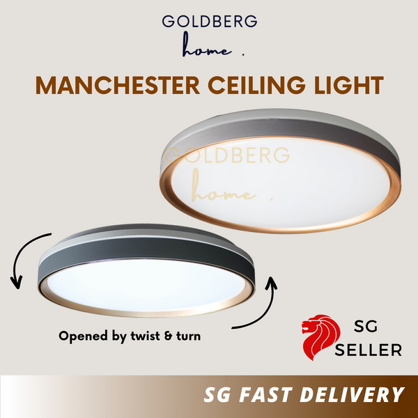Manchester-Ceiling-Light-Goldberg-Home