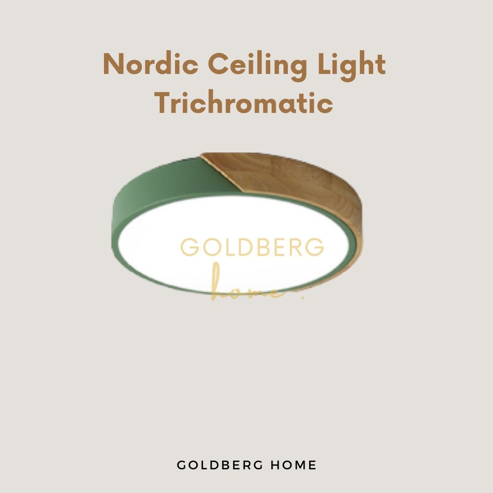 Green Nordic Tritone Ceiling LightsCozy ambience Ceiling Light |Goldberg Home SG