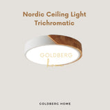 Nordic 3 Tone Tritone RGB LED Ceiling Lights  48W 30/40/50 CM