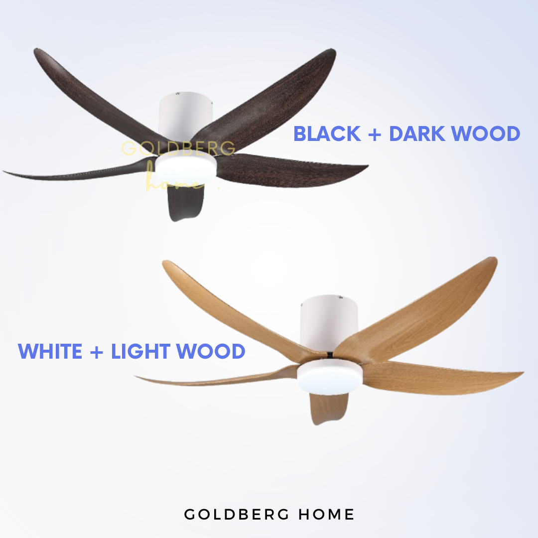 Color option for Bestar Ceiling Fan VITO 5 | Wifi Controlled Ceiling Fan | Goldberg Home SG