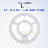 Extra-Bright-Light-Plate-Goldberg-Home
