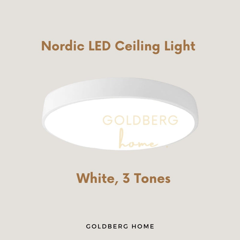 Edinburgh Premium LED Ceiling Light Goldberg Home SG