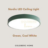 Green Edinburgh Premium light in Cool White. Goldberg Home accent ceiling fixture for vintage SG homes.