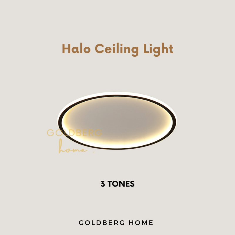 Halo Ceiling Light Goldberg Home SG