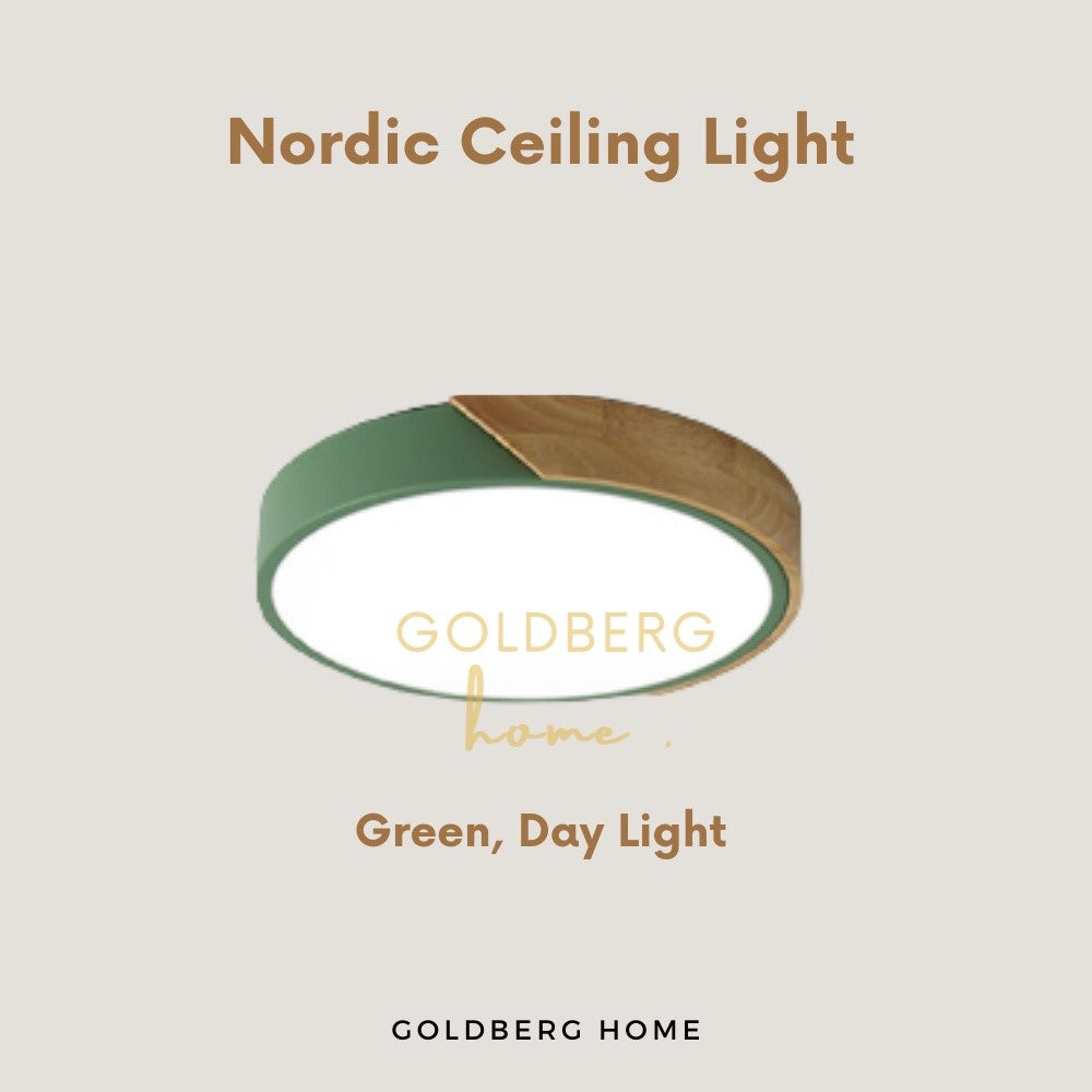 Green Tami Nordic wood ceiling light in Daylight. Goldberg Home sage green fixture for bright Singapore playrooms.